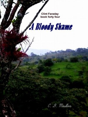 cover image of A Bloody Shame